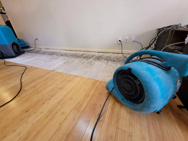 Professional Burst Pipe Water Damage technician working in Spruce Pine, NC